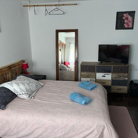 Bed and Breakfast Proprietaire Prive Carcassonne Zewnętrze zdjęcie